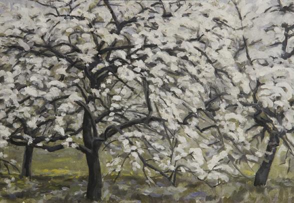 Blühende Obstbäume von Walther Gamerith