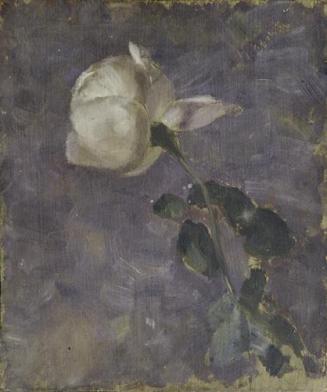 Walther Gamerith, Rose, undatiert, Öl auf Sperrholz, 34 x 28,5 cm, Belvedere, Wien, Inv.-Nr. 90 ...
