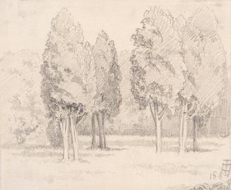 Theodor Alphons, Baumgruppe im Park, 1894, Bleistift auf Papier, 10,4 × 12,5 cm, Belvedere, Wie ...