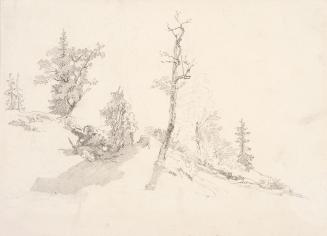 Theodor Alphons, Bäume am Waldeshang, um 1892, Bleistift auf Papier, 16,2 × 24,2 cm, Belvedere, ...