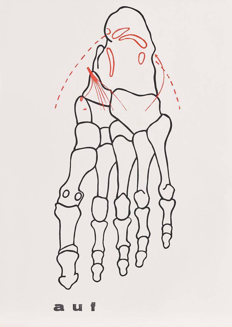 Hans Peter Auberger, sublimes repräsentationsschema, 1970, Siebdruck und Handstempel, Offset, B ...