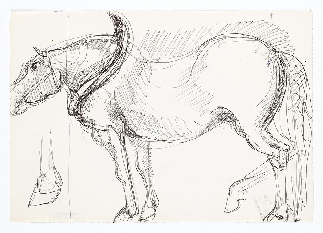 Georg Ehrlich, Stehendes Pferd, 1962, Kugelschreiber, 14,7 × 20,8 cm, Belvedere, Wien, Inv.-Nr. ...