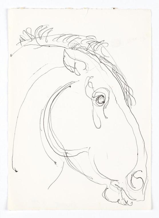 Georg Ehrlich, Pferdekopf, 1962, Kugelschreiber, 20,7 × 14,7 cm, Belvedere, Wien, Inv.-Nr. 1026 ...