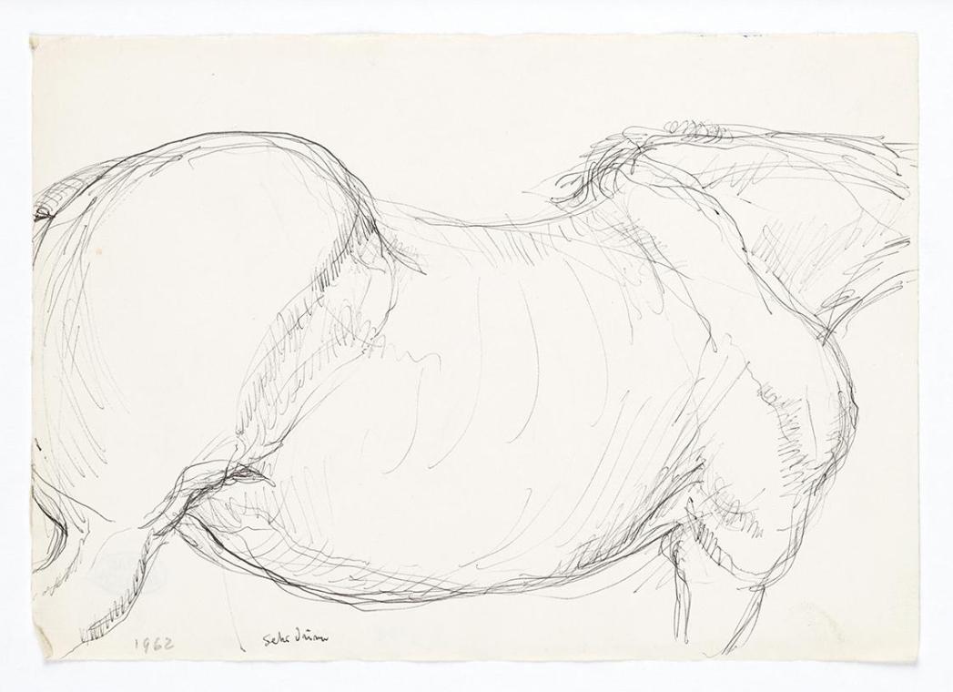 Georg Ehrlich, Pferdetorso, 1962, Kugelschreiber, 14,8 × 20,9 cm, Belvedere, Wien, Inv.-Nr. 102 ...