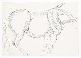 Georg Ehrlich, Pferdetorso, 1962, Kugelschreiber, 14,8 × 20,9 cm, Belvedere, Wien, Inv.-Nr. 102 ...