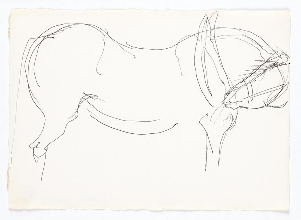 Georg Ehrlich, Pferdetorso, 1962, Kugelschreiber, 14,8 × 20,9 cm, Belvedere, Wien, Inv.-Nr. 102 ...