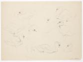 Georg Ehrlich, Schwanenstudien, Bleistift, 27,7 × 38,1 cm, Belvedere, Wien, Inv.-Nr. 10265/250