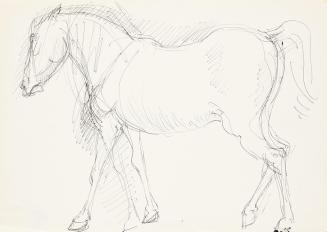 Georg Ehrlich, Stehendes Pferd, Kugelschreiber, 21 × 29,4 cm, Belvedere, Wien, Inv.-Nr. 10265/3 ...