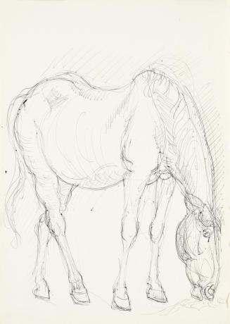 Georg Ehrlich, Grasendes Pferd, um 1960, Kugelschreiber, 29,4 × 20,8 cm, Belvedere, Wien, Inv.- ...