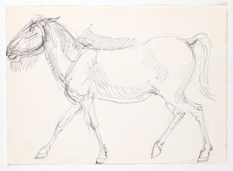 Georg Ehrlich, Stehendes Pferd, um 1960, Kugelschreiber, 21,1 × 29,5 cm, Belvedere, Wien, Inv.- ...