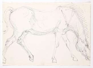 Georg Ehrlich, Stehendes Pferd, um 1960, Kugelschreiber, 21,1 × 29,5 cm, Belvedere, Wien, Inv.- ...