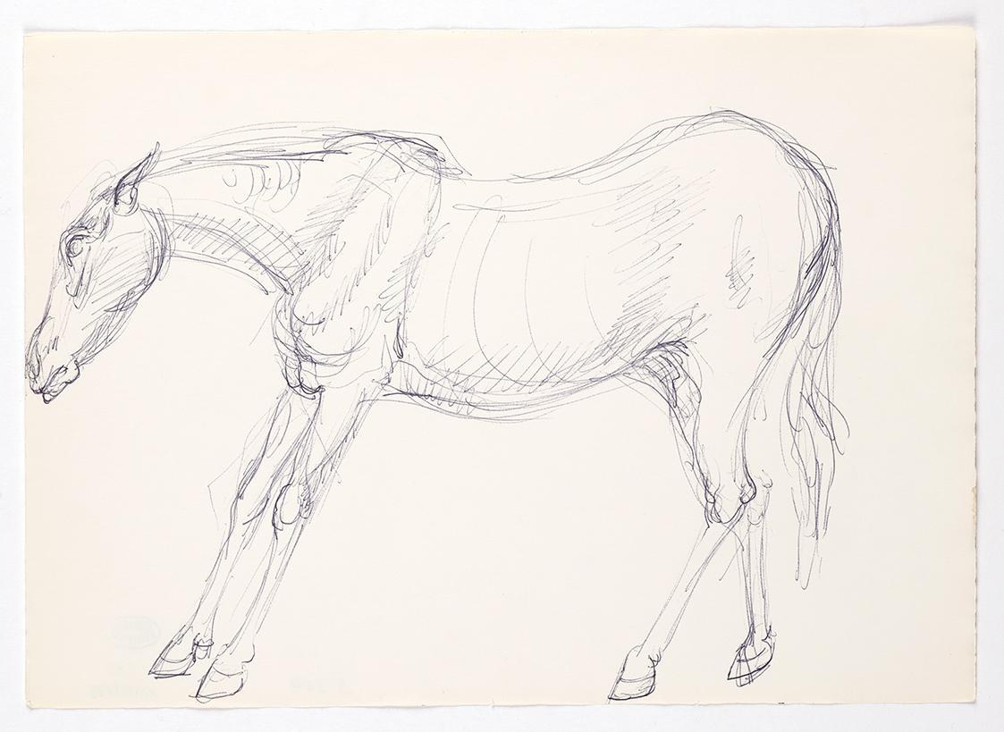 Georg Ehrlich, Stehendes Pferd, um 1960, Kugelschreiber, 21,1 × 29,5 cm, Belvedere, Wien, Inv.- ...