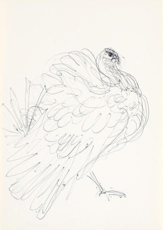 Georg Ehrlich, Truthahn, um 1959, Kugelschreiber, 20,9 × 15 cm, Belvedere, Wien, Inv.-Nr. 10265 ...