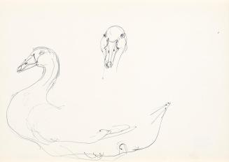 Georg Ehrlich, Entenstudie, um 1959, Kugelschreiber, 14,8 × 20,9 cm, Belvedere, Wien, Inv.-Nr.  ...