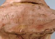 Gustinus Ambrosi, Hans Badrutt, Detail: Bezeichnung, 1955, Gips, getönt, H: 49 cm, Belvedere, W ...