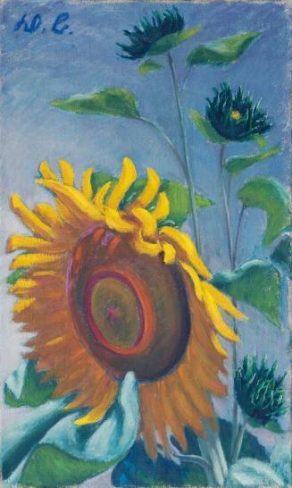 Werner Berg, Sonnenblume mit Knospe, 1955, Öl auf Leinwand, 75 x 45,5 cm, Artothek des Bundes,  ...