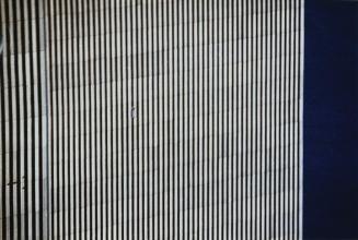 Künstlergruppe gelatin, B-Thing, 2000, Abzug auf Fujiflex (7-teilig), 40 x 60 cm, Belvedere, Wi ...