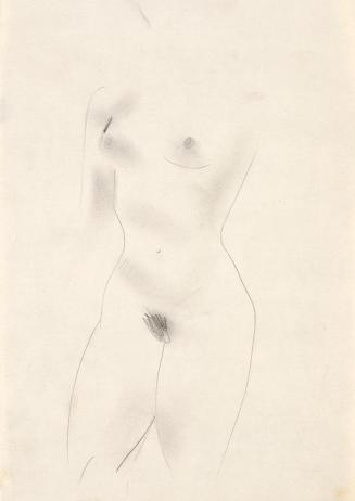 Paul Meissner, Weiblicher Akt, 1936, Bleistift, 28,2 × 20 cm, Belvedere, Wien, Inv.-Nr. 11219/9