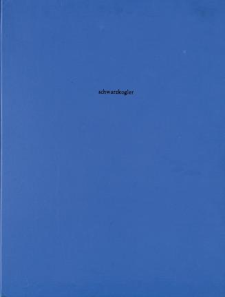 Rudolf Schwarzkogler, Aktionsfotos, 1965-1966, Foto je: 40 × 30,5 cm, Belvedere, Wien, Inv.-Nr. ...