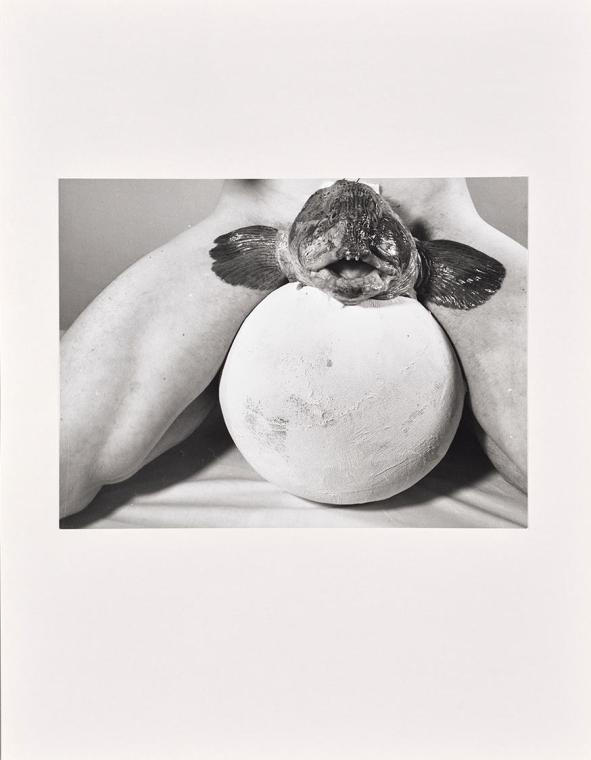 Rudolf Schwarzkogler, 2. Aktion, 1965, Fotografie, 29,2 × 39,4 cm, Belvedere, Wien, Inv.-Nr. 88 ...