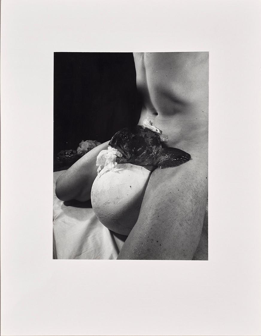 Rudolf Schwarzkogler, 2. Aktion, 1965, Fotografie, 39,5 × 29,8 cm, Belvedere, Wien, Inv.-Nr. 88 ...