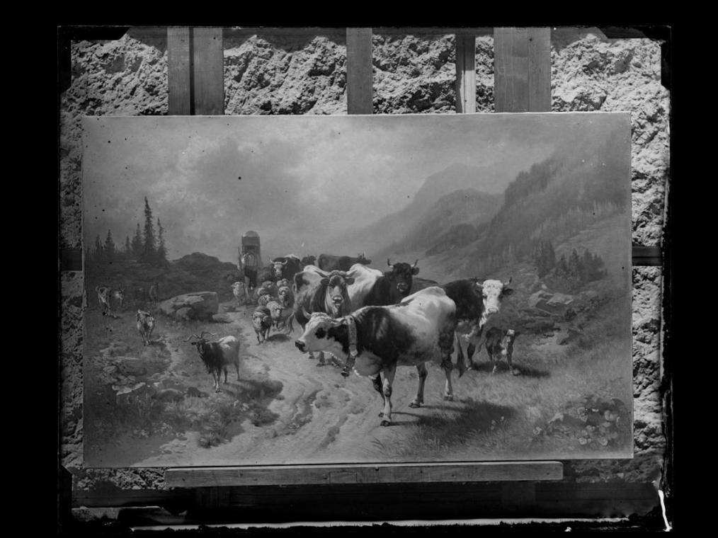 Josef Löwy – k. u. k. Hof-Photograph, Kunst- und Verlags-Anstalt, Viehabtrieb, 1888–1891, Ortho ...