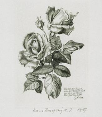 Hans Ranzoni, Zwei Rosen, 1987, Kupferstich auf Papier, 9,5 × 6,8 cm, Belvedere, Wien, Inv.-Nr. ...