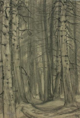 Ernestine Rotter-Peters, Wald, um 1930, Kohle auf getöntem Papier, 57 x 40 cm, Belvedere, Wien, ...