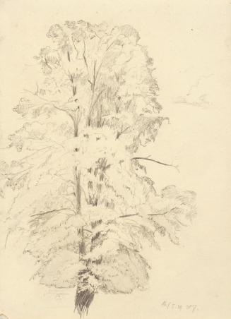 Hildegard Joos, Baum, 1939, Bleistift auf Papier, 27,5 x 19,8 cm, Belvedere, Wien, Inv.-Nr. 100 ...