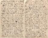 Gustav Klimt, Brief von Gustav Klimt an Emilie Flöge, 11.5.1896, Feder in schwarzer Tusche auf  ...