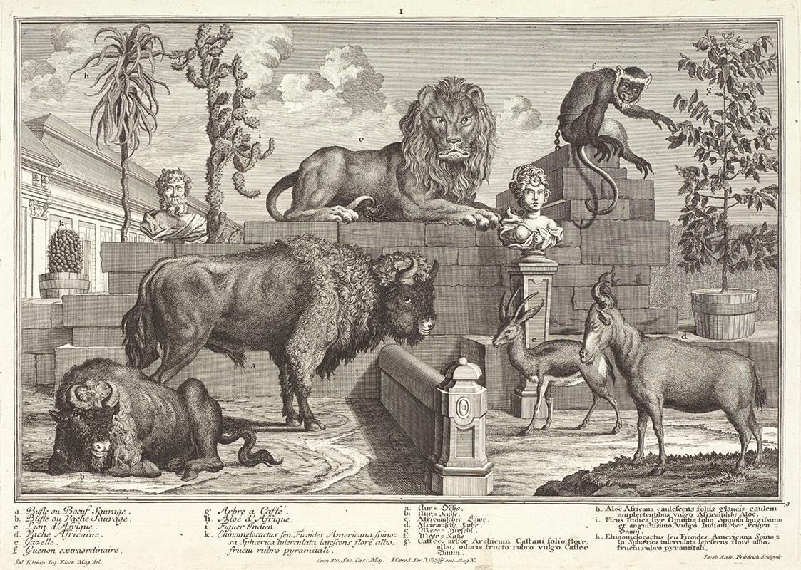 Salomon Kleiner, Löwe und Wisentpaar, 1734, Radierung, Druck in Schwarz auf Papier, Dauerleihga ...
