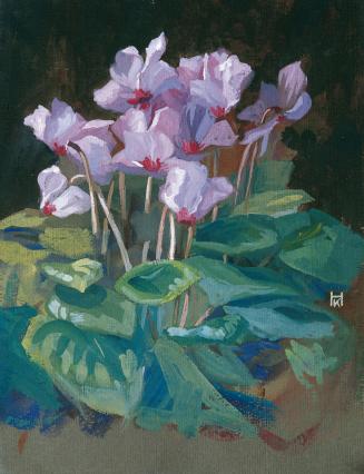 Klara Hasslwander, Cyclamen, undatiert, Gouache auf Karton, 42 x 33 cm, Belvedere, Wien, Inv.-N ...