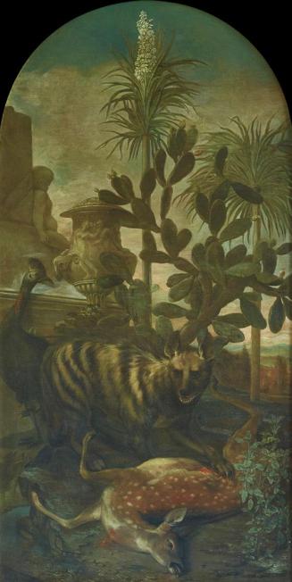 Ignaz Heinitz von Heinzenthal, Hyäne, Antilope und Kasuar in Kakteenlandschaft, 1723, Öl auf Le ...