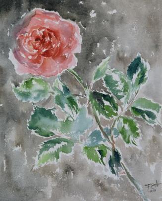 Fritzi Ecker-Houdek, Rose, 1959, Wasserfarbe auf Papier, 30 x 24 cm, Belvedere, Wien, Inv.-Nr.  ...
