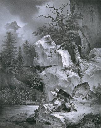 Leopold Carl Müller (Lithograf) nach Friedrich August Mathias Gauermann, Geier mit totem Hirsch ...