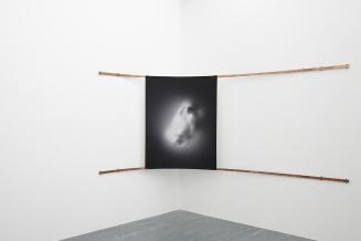 Susanne Kriemann, Untitled (nuclear) I, 2013, Inkjet auf Hahnemühle Photo Rag 308 gr, Kupfer, c ...